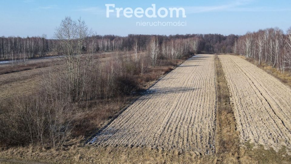 Działka przy lesie