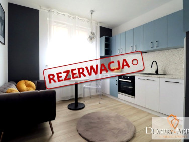 Mieszkanie Rzeszów wynajem