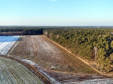 Działka budowlana Nowe Tłoki