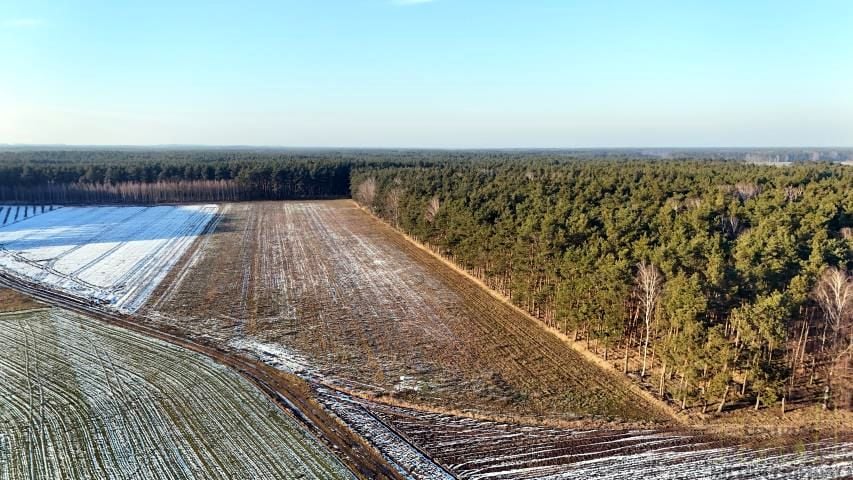 Działka budowlana Nowe Tłoki