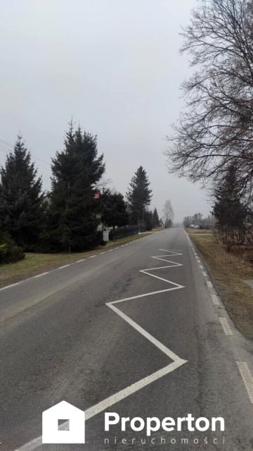 Zdjęcie 3