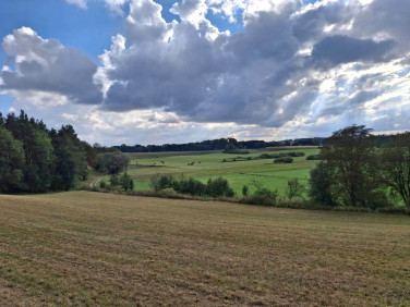 Działka budowlana Jabłowo Pałuckie