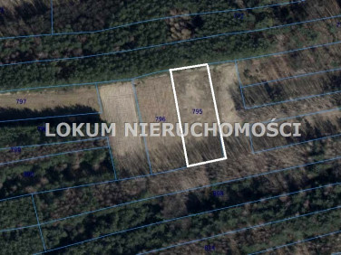 Działka rolna Szarwark sprzedam