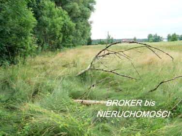 Działka siedliskowa Bolemin sprzedam