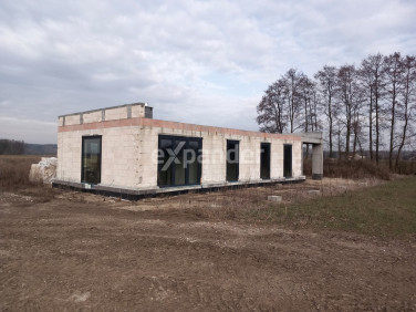 Dom wolnostojący sprzedaż