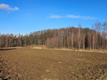Działka budowlana Łuczyce sprzedam