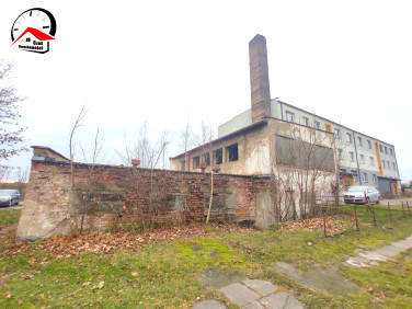 Lokal Piotrków Kujawski