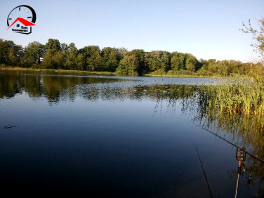 Działka rekreacyjna Borzymie