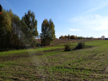 Działka rolna sprzedam