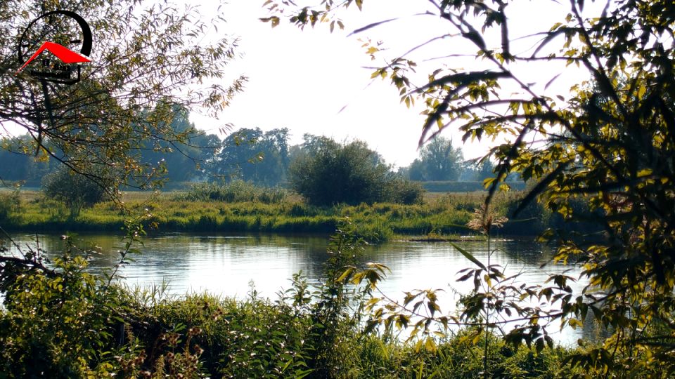 Działka rolna Dąbie sprzedam