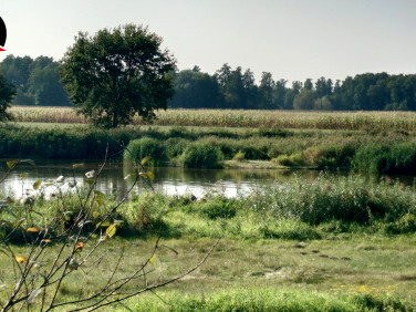 Działka rolna sprzedam