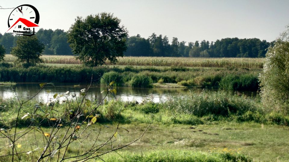 Działka rolna sprzedam