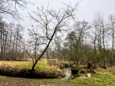 Działka budowlana Ruda