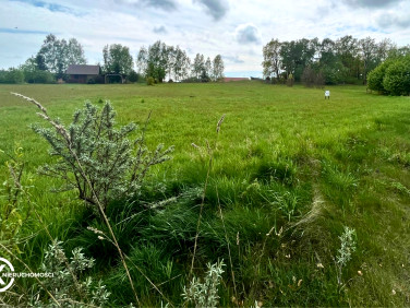 Pusta działka Czernikowice