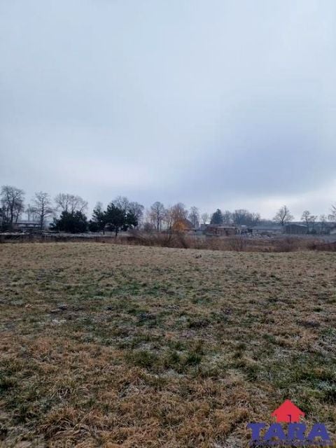 Zdjęcie 2