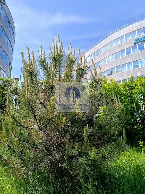 Lokal Warszawa wynajem