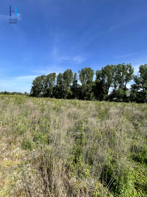 Działka Piotrków Trybunalski