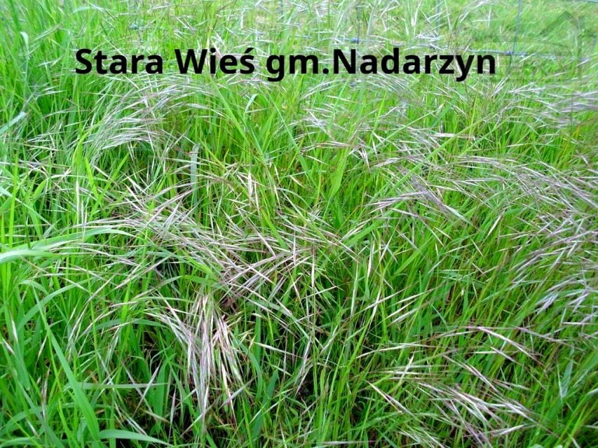 Zdjęcie 2