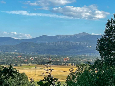 Lokal Jelenia Góra