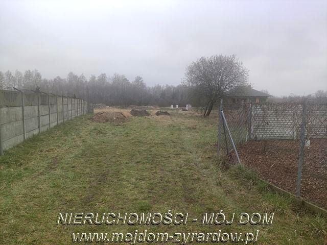Zdjęcie 3