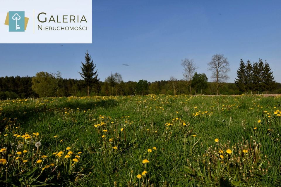 Działka budowlano-rolna Aniołowo