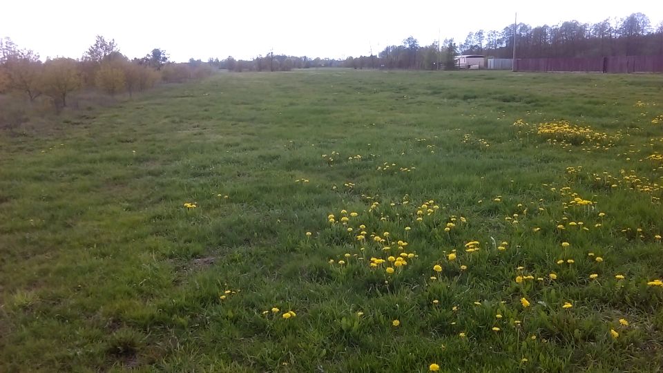 Działka budowlana Mostówka