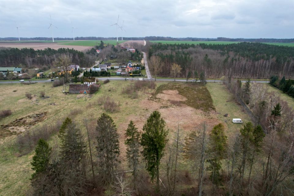 Zdjęcie 3