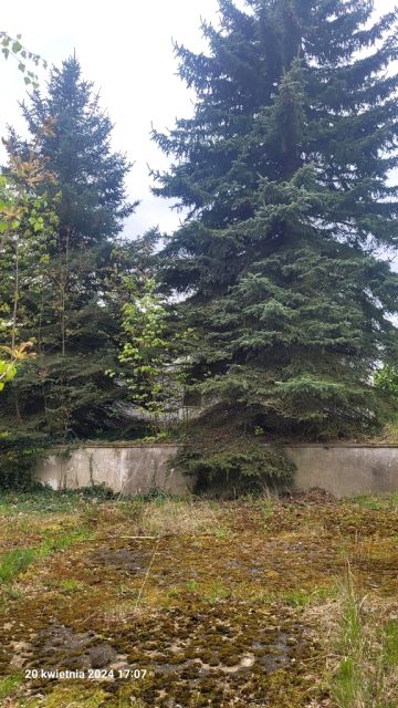 Budynek użytkowy Recz