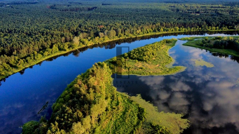 Działka rekreacyjna Gnojno sprzedam