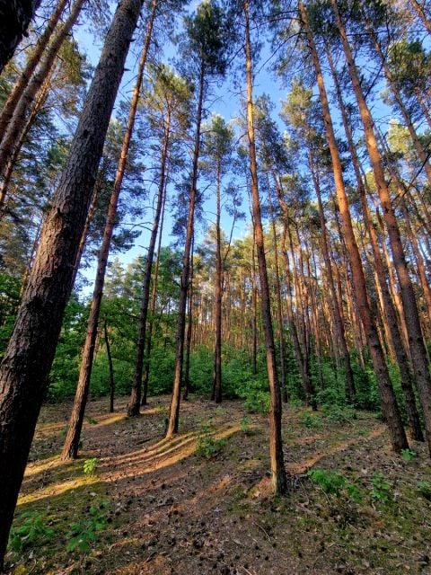 Działka budowlana Milanówek