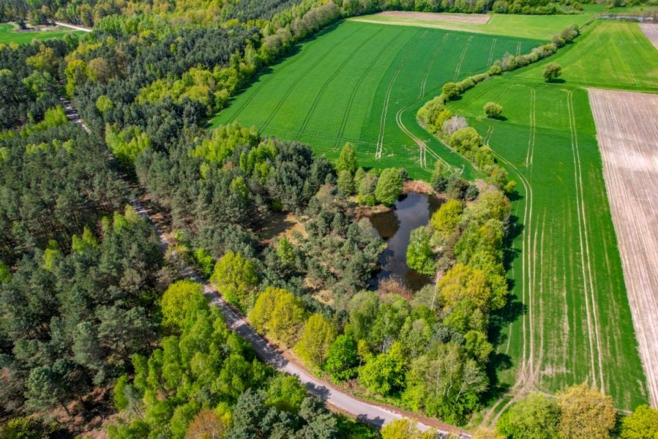 Działka siedliskowa Michów