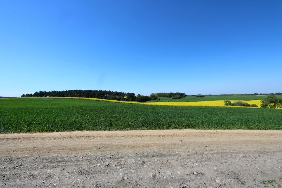 Działka rolna Moryń sprzedam