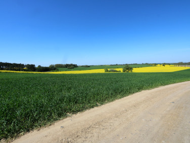 Działka rolna Moryń