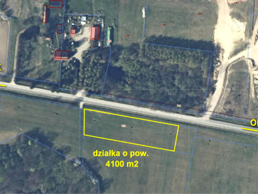 Działka Kupin