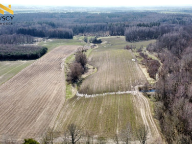 Działka Borzynowo