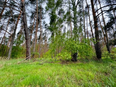 Działka budowlana Grodzanów sprzedam