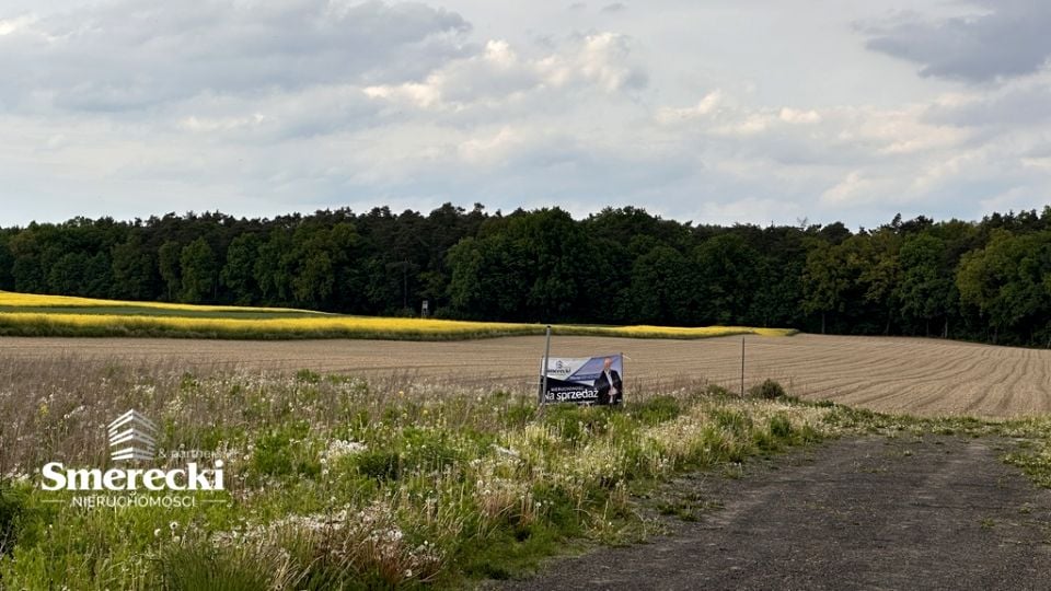 Działka budowlana Strzeszkowice Duże