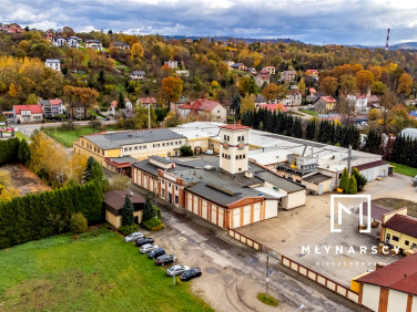 Lokal Żywiec