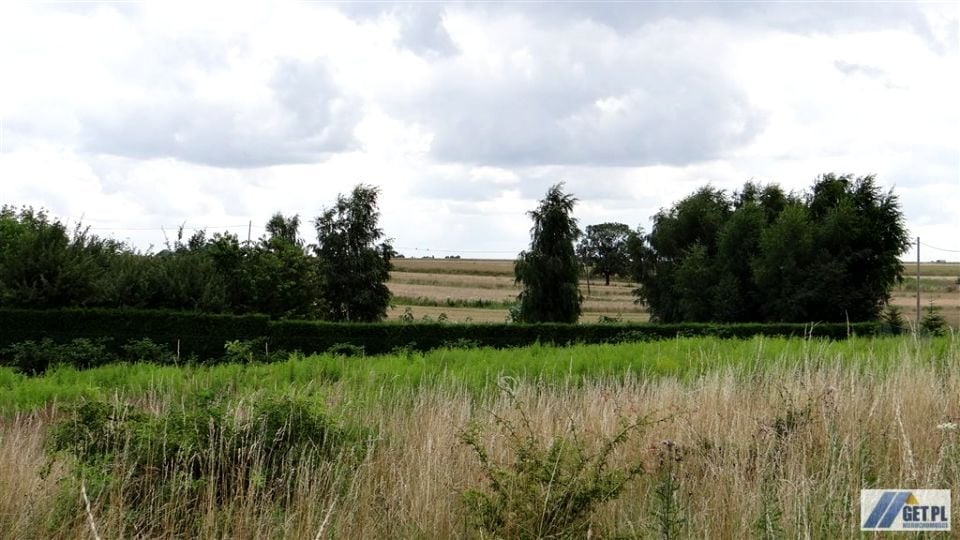 Działka Cianowice