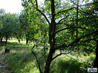 Działka budowlano-rolna sprzedam