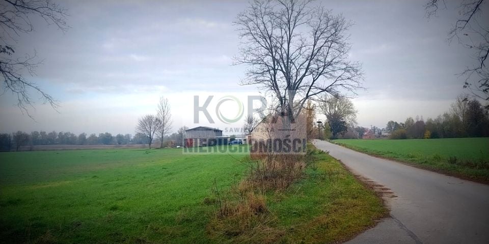 Zdjęcie 2