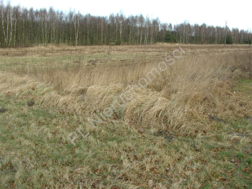 Działka przemysłowa Bełchów