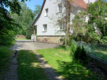 Dom Żyrowa