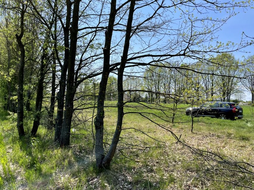 Działka Aleksandrów
