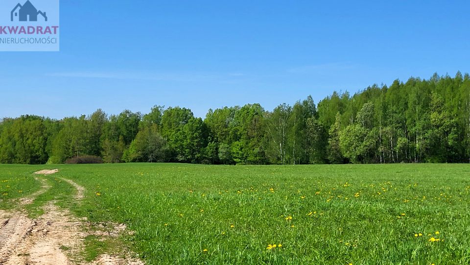 Zdjęcie 2