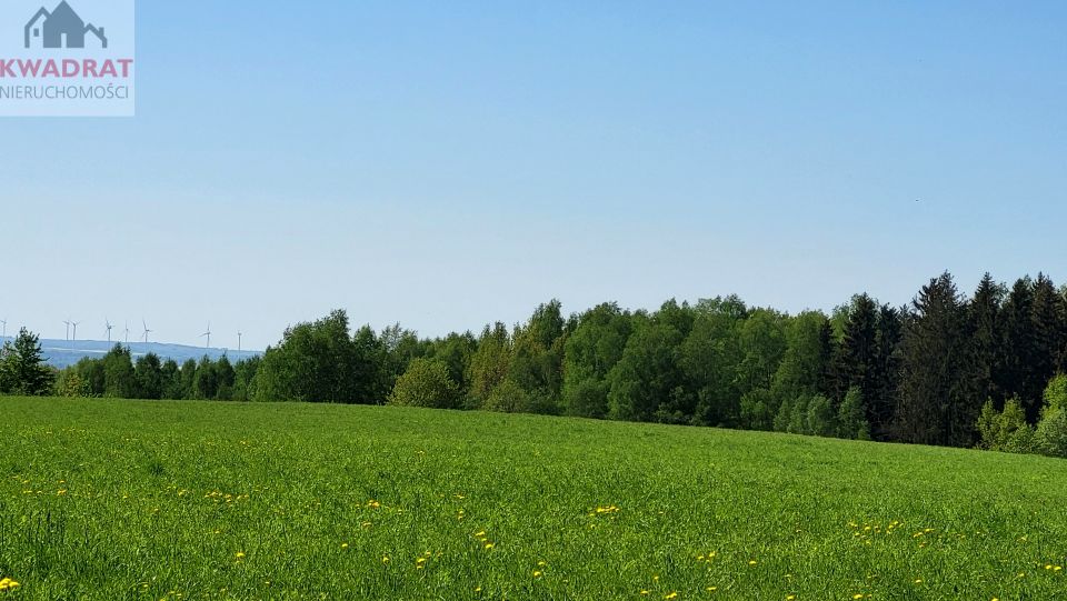 Zdjęcie 3