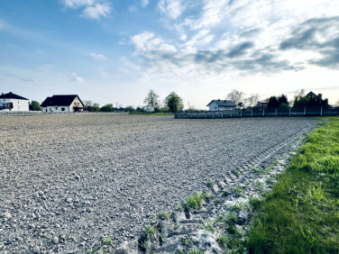 Działka Pławy