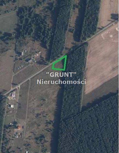 Pusta działka Plecemin