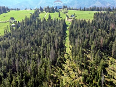 Działka Zakopane