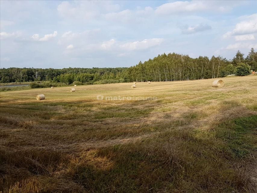 Działka rolna Wielka Wieś